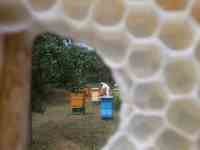 Dul±bka